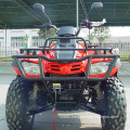 300CC BUYANG ATV(FA-D300 2WD)